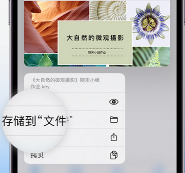 白云apple维修中心分享iPhone文件应用中存储和找到下载文件