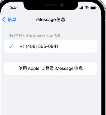 白云apple维修iPhone上无法正常发送iMessage信息 