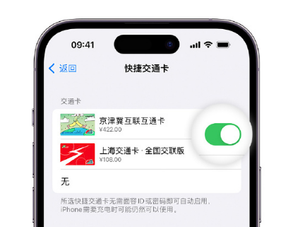 白云apple维修点分享iPhone上更换Apple Pay快捷交通卡手绘卡面 