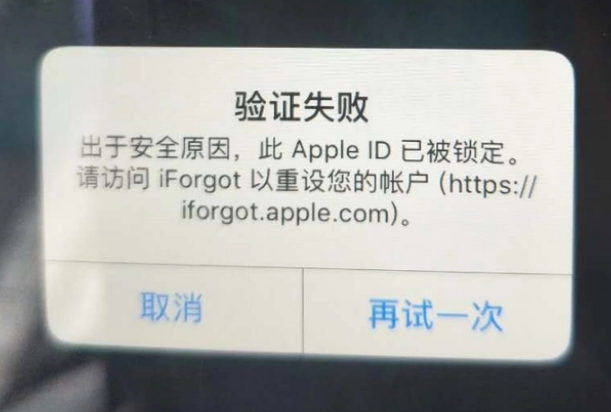 白云iPhone维修分享iPhone上正常登录或使用AppleID怎么办 