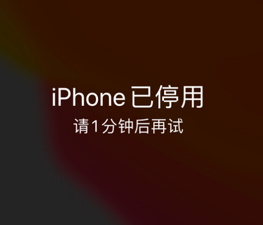 白云苹果手机维修分享:iPhone 显示“不可用”或“已停用”怎么办？还能保留数据吗？ 