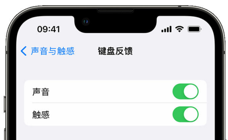 白云苹果手机维修分享iPhone 14触感键盘使用方法 