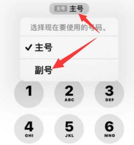 白云苹果14维修店分享iPhone 14 Pro Max使用副卡打电话的方法 