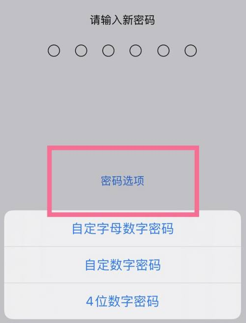 白云苹果14维修分享iPhone 14plus设置密码的方法 