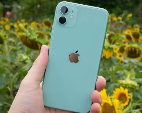 白云苹果维修点分享iPhone 11锁屏密码认知与使用科普 